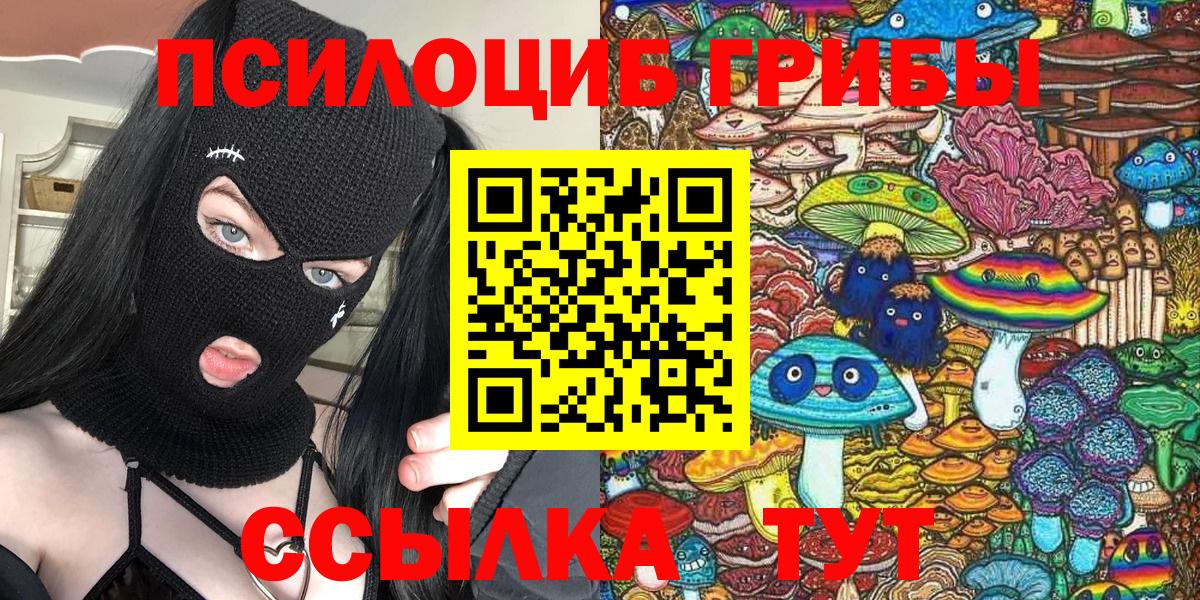 Псилоцибиновые грибы Cubensis  хочу наркоту  Псилоцибиновые грибы ЛСД  Новокубанск  Вход с VPN 